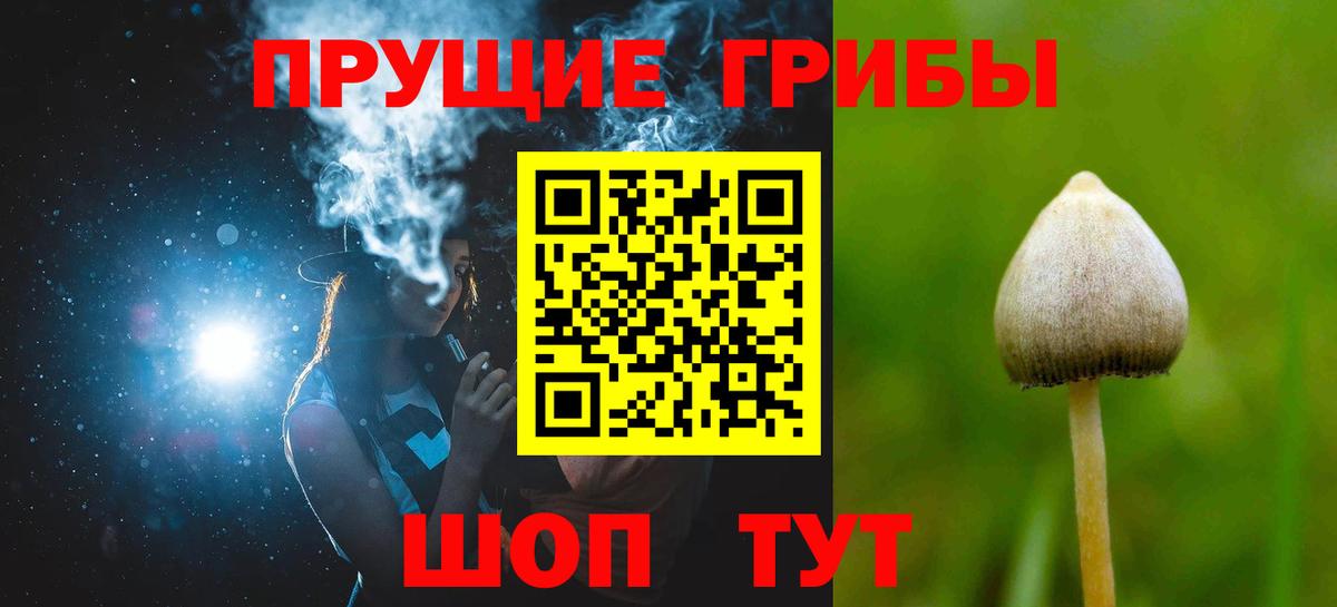 Псилоцибиновые грибы Psilocybine cubensis  Вход с VPN  Воронеж 